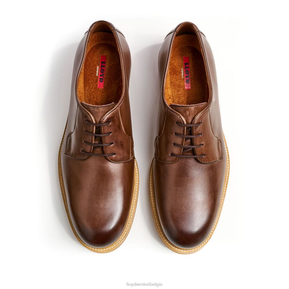 oké Heren LLOYD bruin schoenen ZJ6BL77