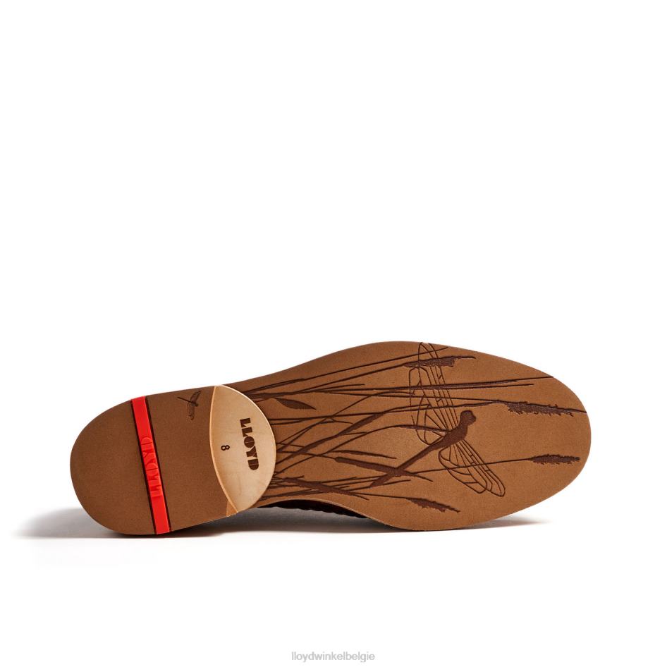 olo's Heren LLOYD bruin schoenen ZJ6BL173