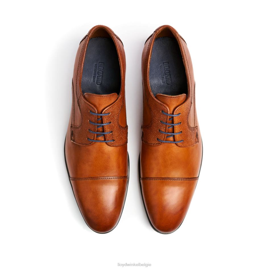 orwin Heren LLOYD bruin schoenen ZJ6BL95