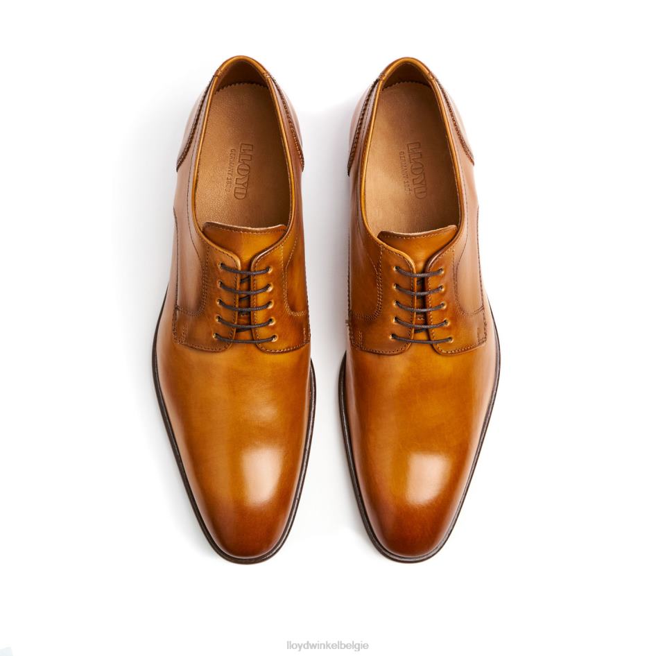 pados Heren LLOYD bruin schoenen ZJ6BL152