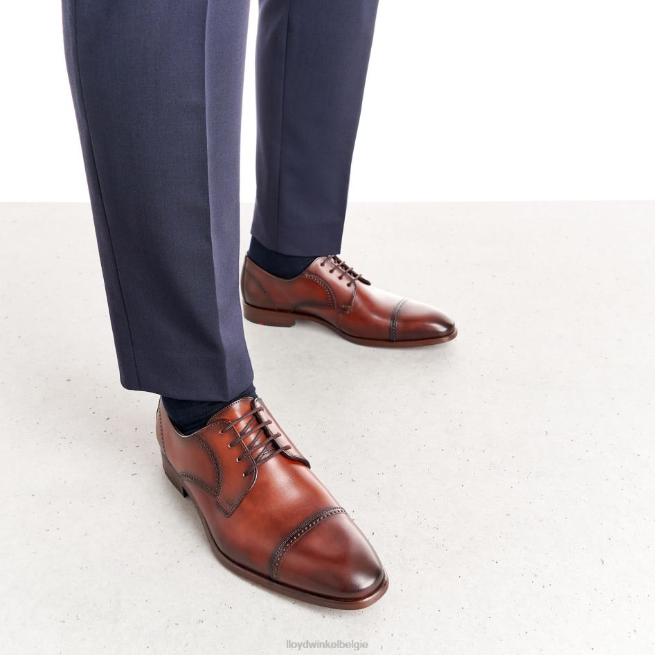 perenwijn Heren LLOYD bruin schoenen ZJ6BL177