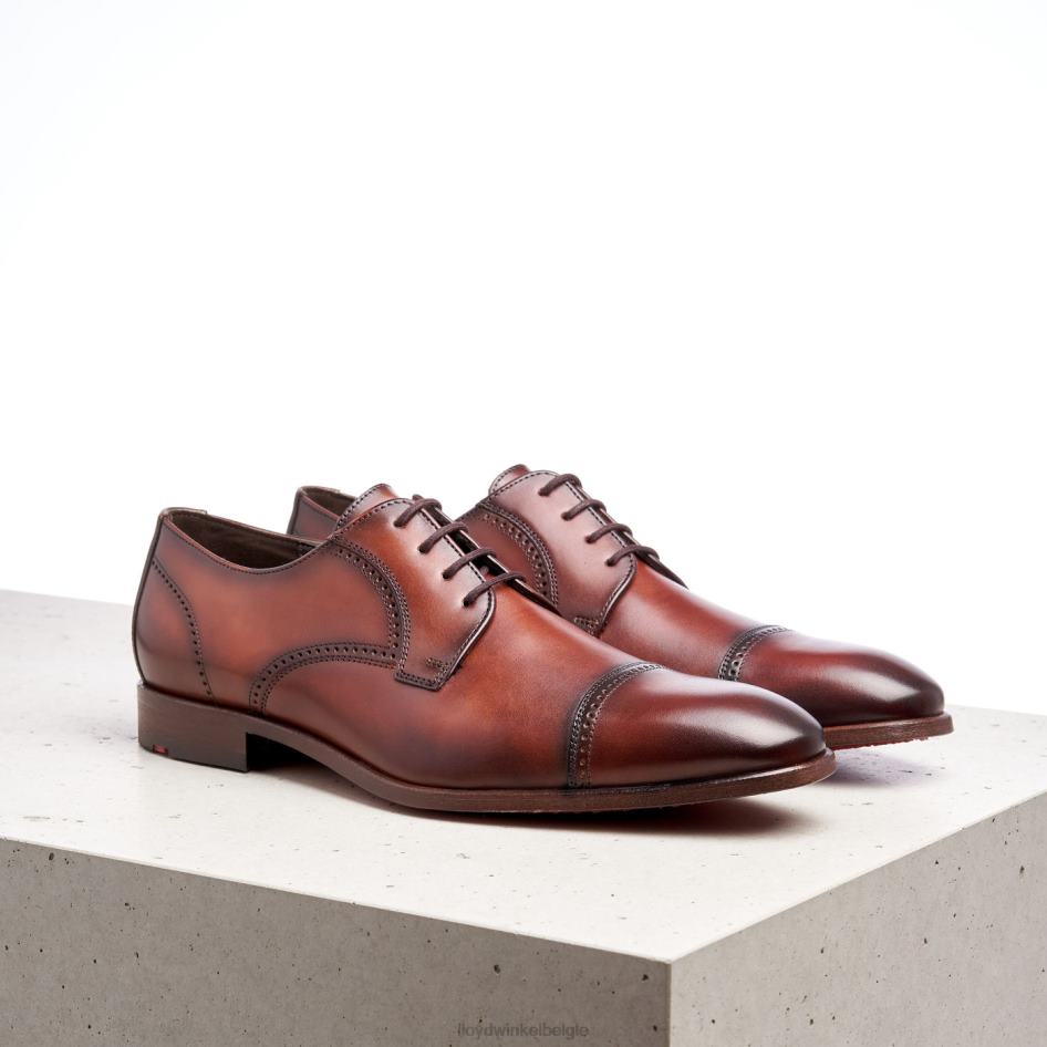 perenwijn Heren LLOYD bruin schoenen ZJ6BL177