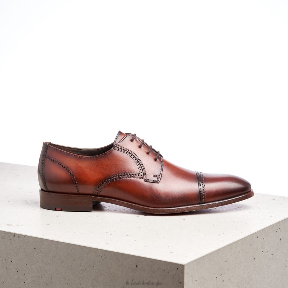 perenwijn Heren LLOYD bruin schoenen ZJ6BL177