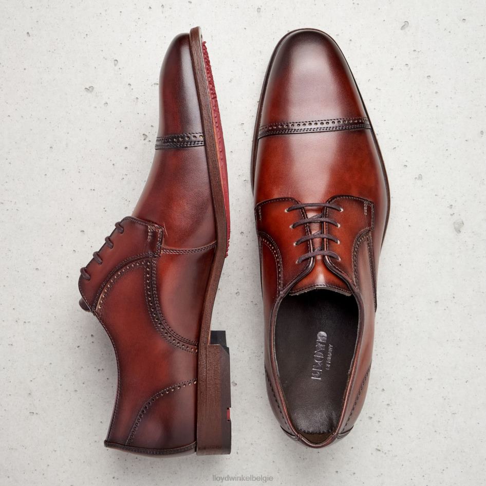 perenwijn Heren LLOYD bruin schoenen ZJ6BL177