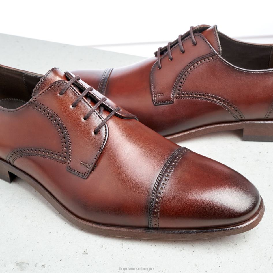 perenwijn Heren LLOYD bruin schoenen ZJ6BL177