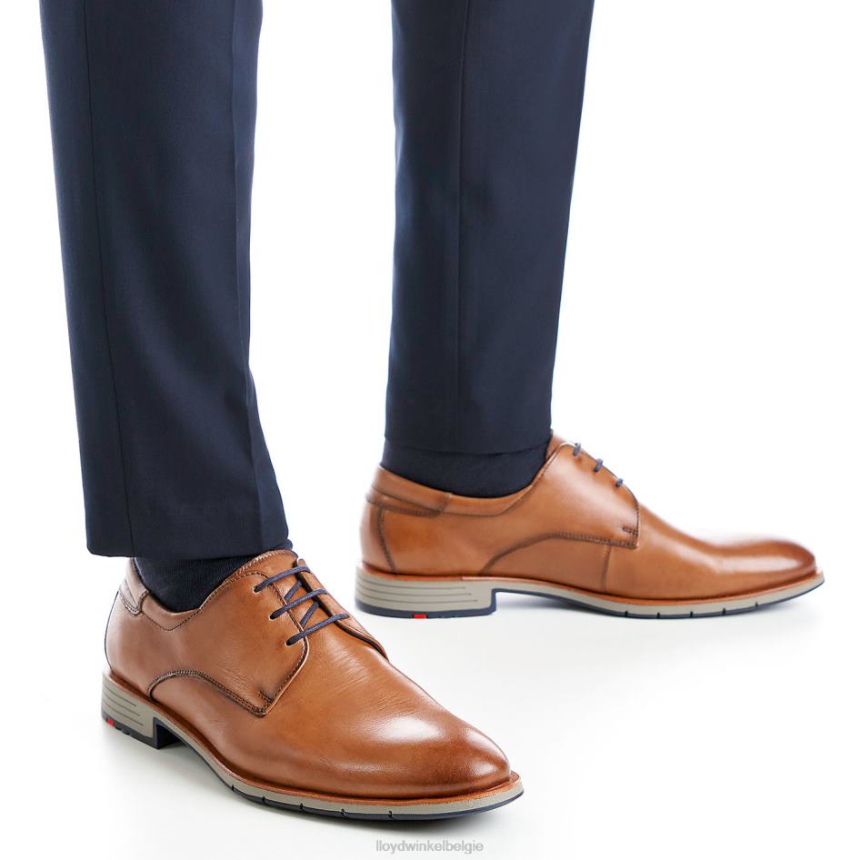 tambo Heren LLOYD bruin schoenen ZJ6BL23