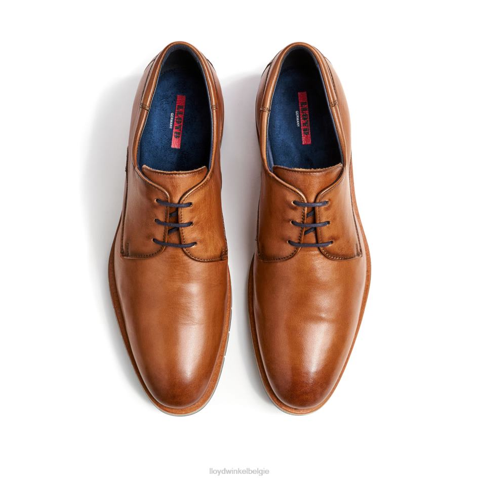 tambo Heren LLOYD bruin schoenen ZJ6BL23