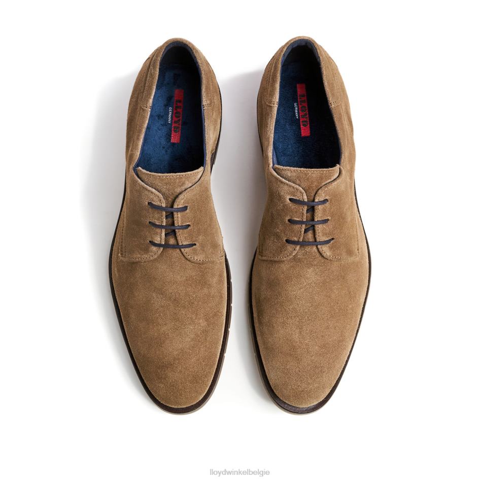 tambo Heren LLOYD bruin schoenen ZJ6BL92