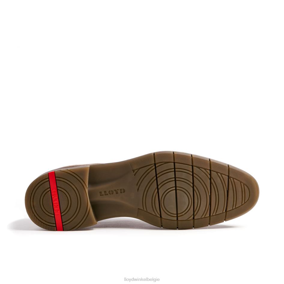 tambo Heren LLOYD bruin schoenen ZJ6BL92