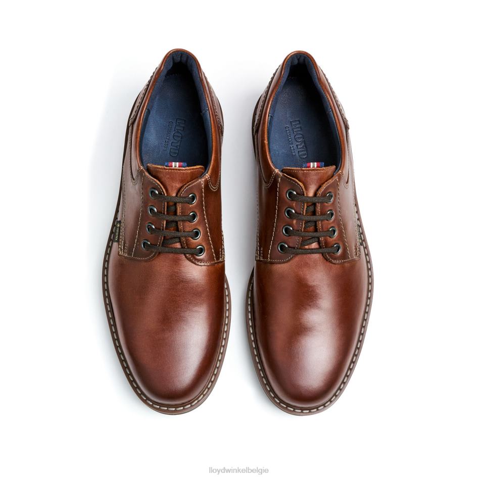 vanja Heren LLOYD bruin schoenen ZJ6BL125