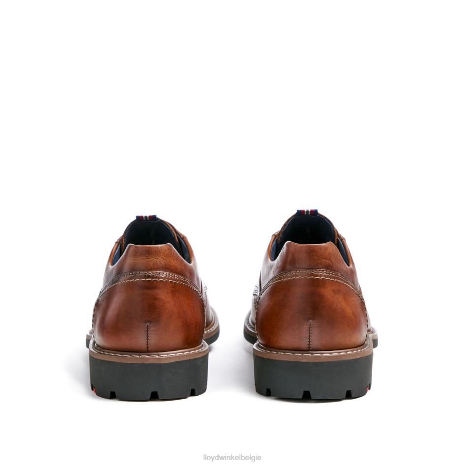 vanja Heren LLOYD bruin schoenen ZJ6BL125