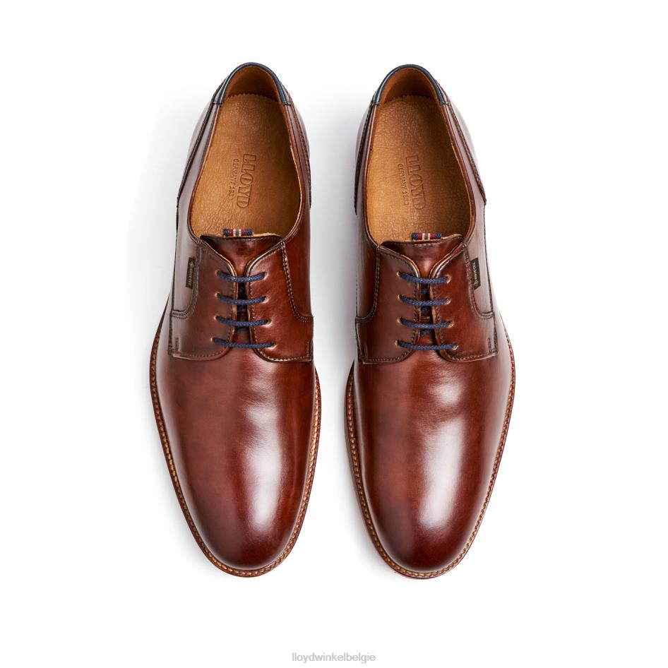 vickers Heren LLOYD bruin schoenen ZJ6BL122