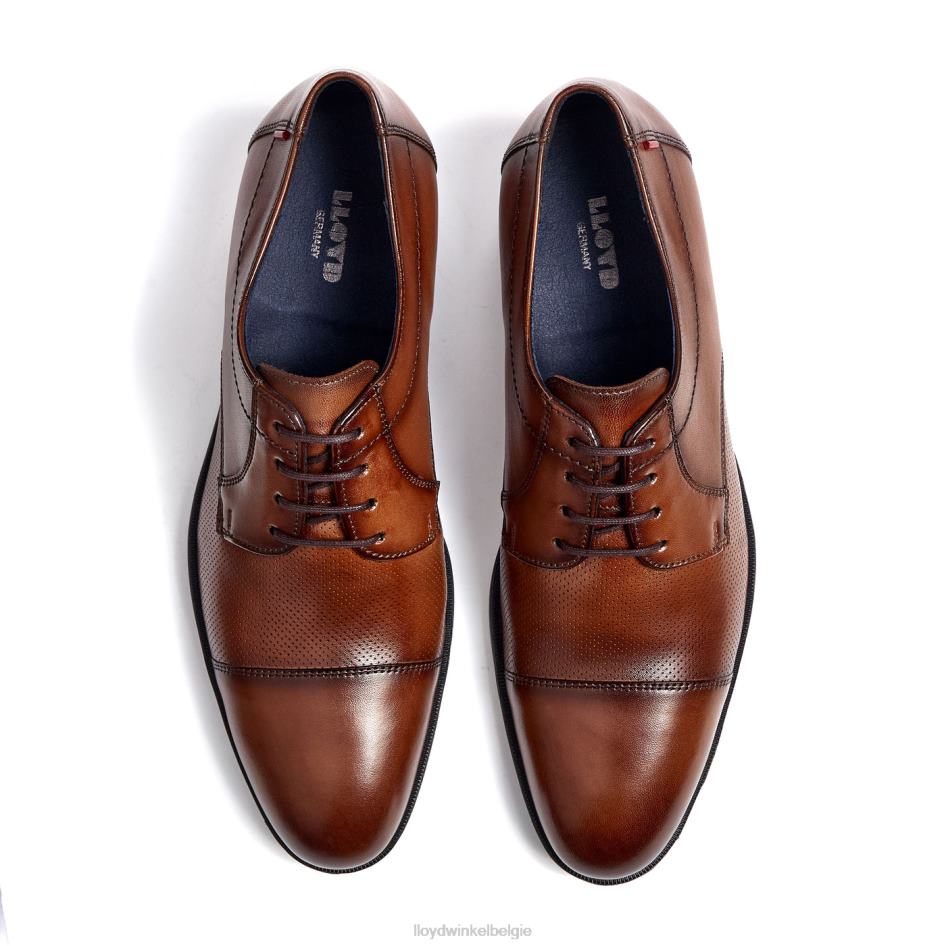 volg Heren LLOYD bruin schoenen ZJ6BL15