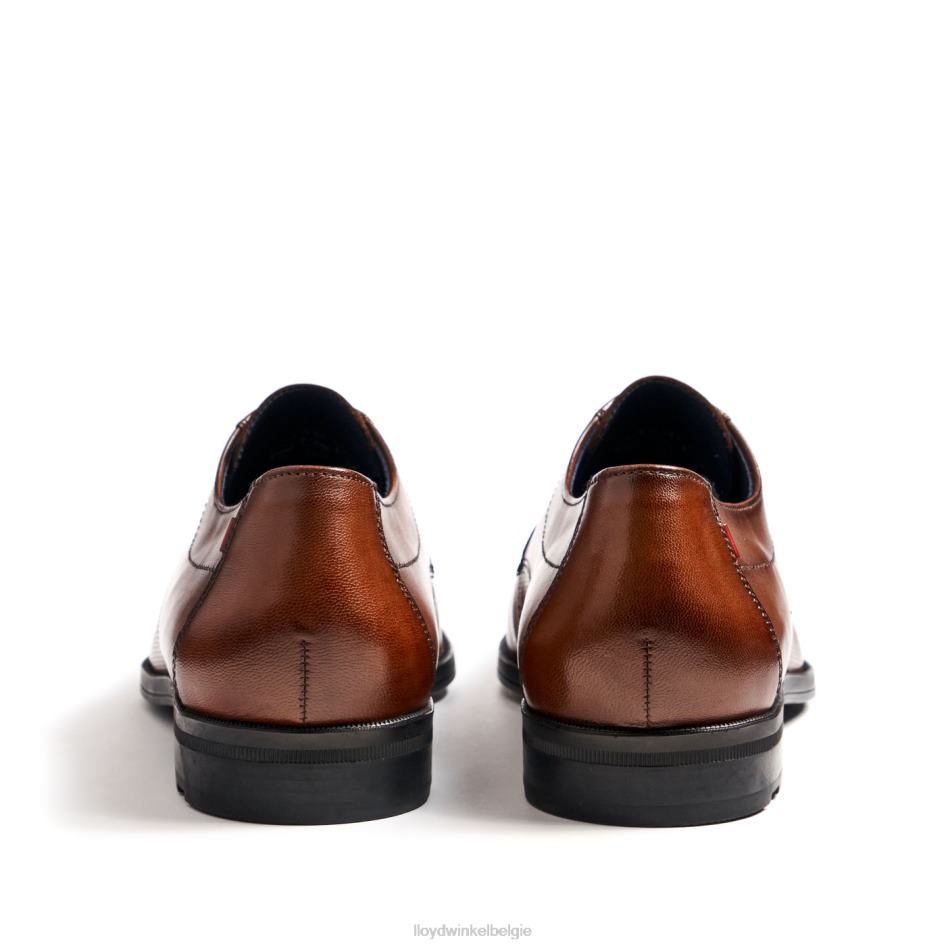 volg Heren LLOYD bruin schoenen ZJ6BL15