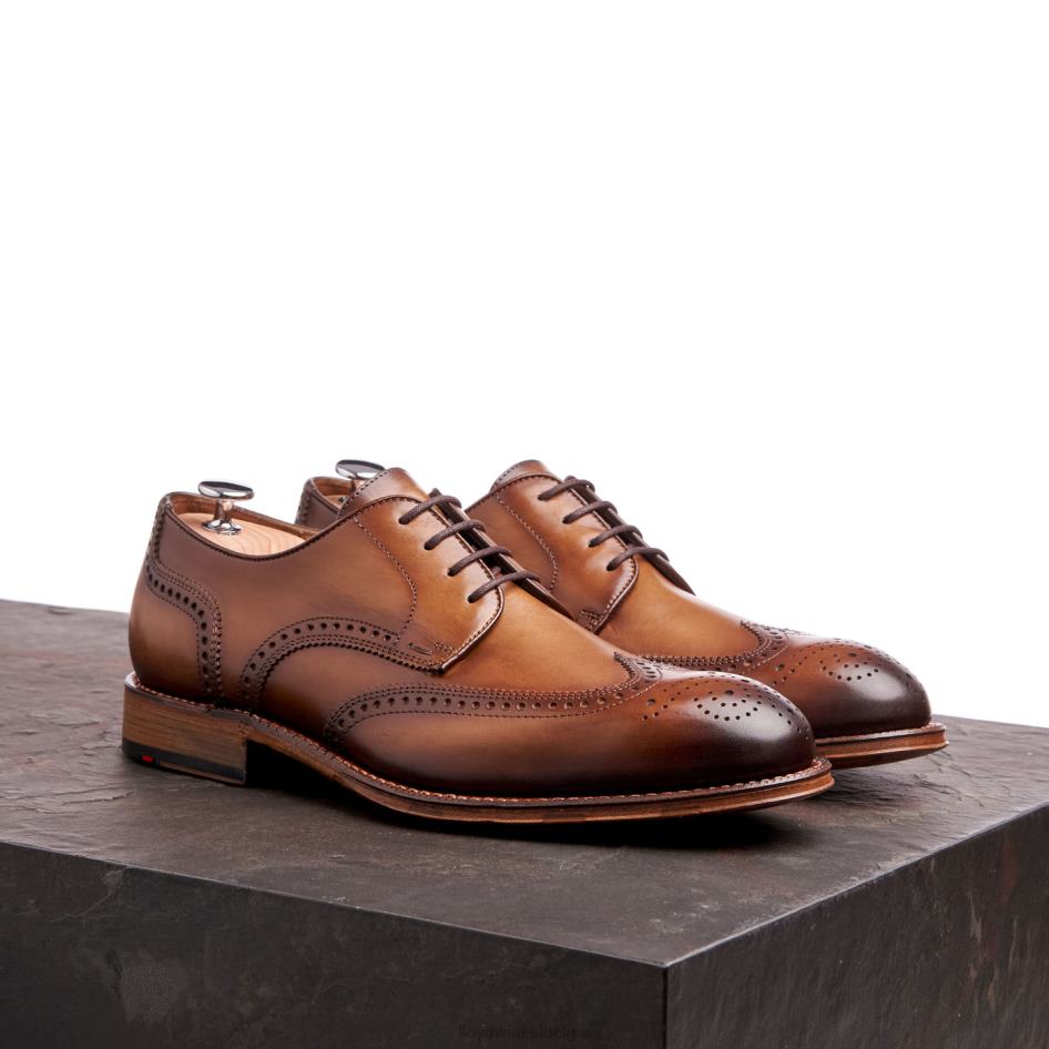 warwick Heren LLOYD bruin schoenen ZJ6BL74