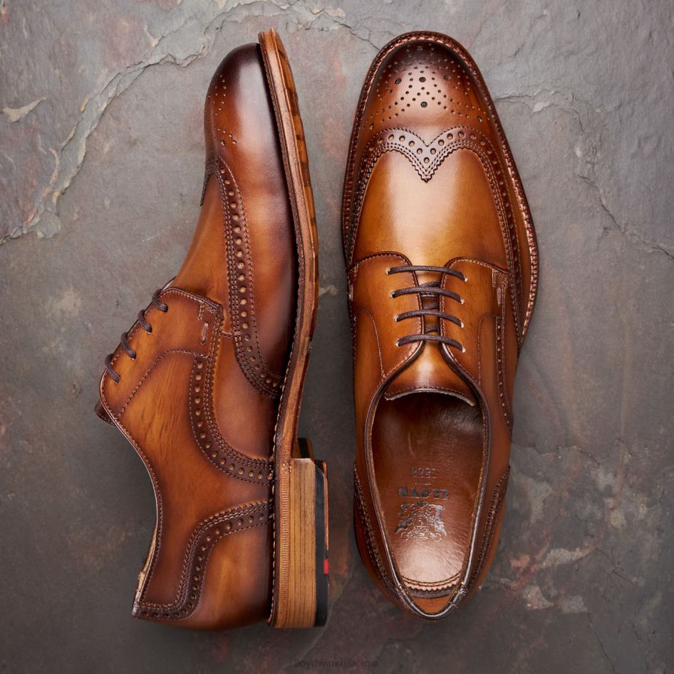 warwick Heren LLOYD bruin schoenen ZJ6BL74