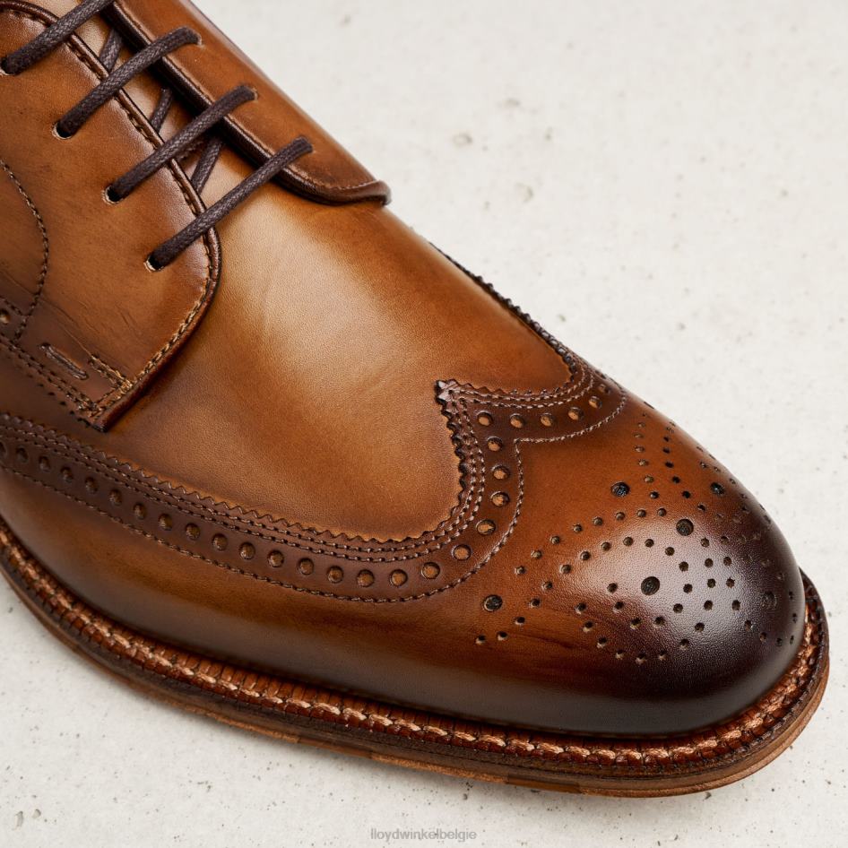 warwick Heren LLOYD bruin schoenen ZJ6BL74