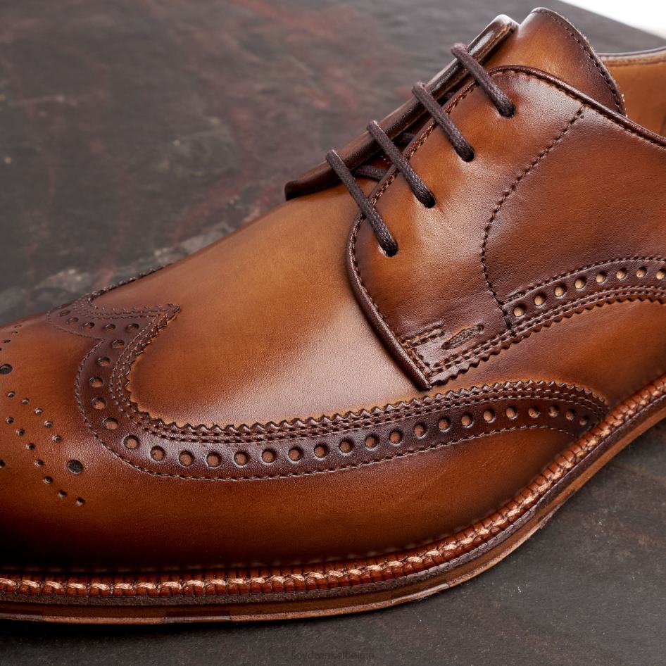 warwick Heren LLOYD bruin schoenen ZJ6BL74