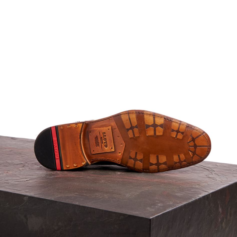 warwick Heren LLOYD bruin schoenen ZJ6BL74