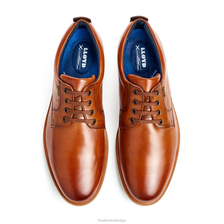 wijn Heren LLOYD bruin schoenen ZJ6BL139