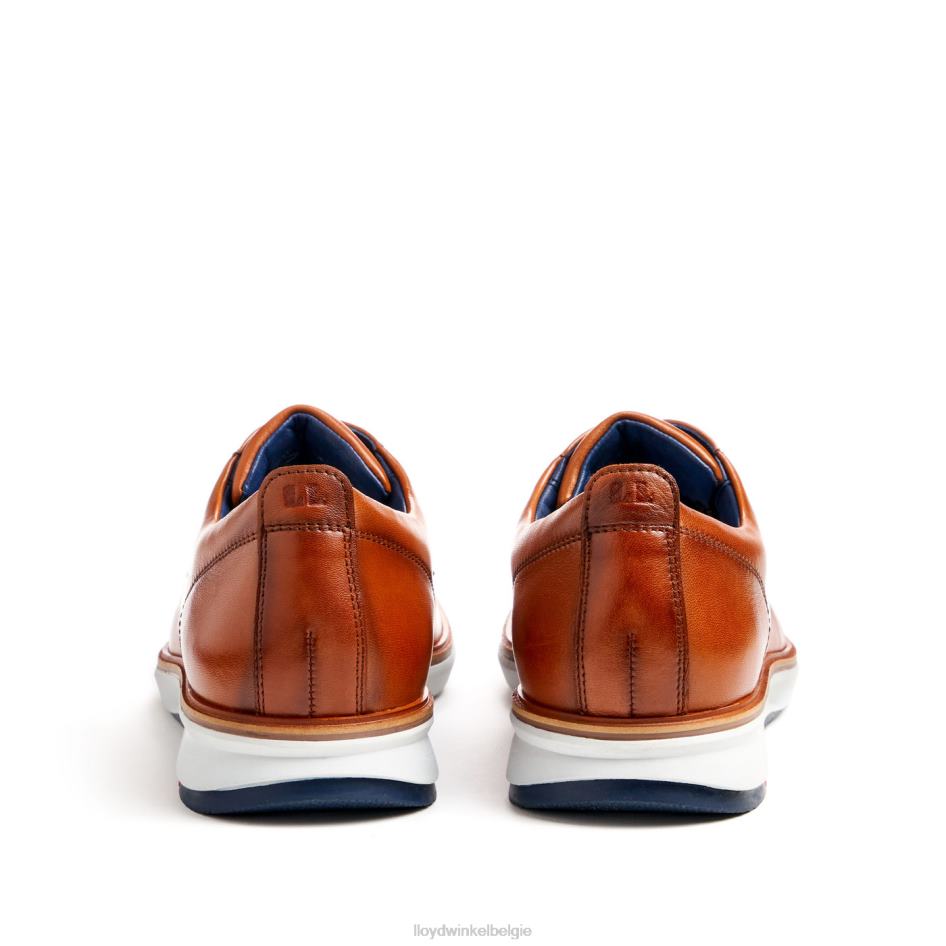 wijn Heren LLOYD bruin schoenen ZJ6BL139