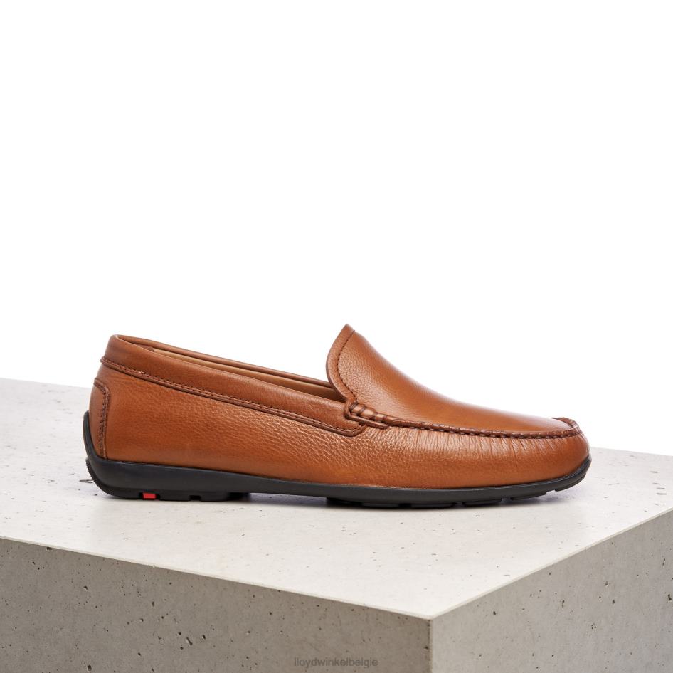 emilio Heren LLOYD bruin schoenen ZJ6BL603