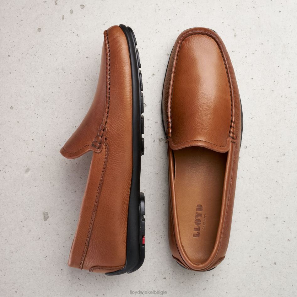 emilio Heren LLOYD bruin schoenen ZJ6BL603