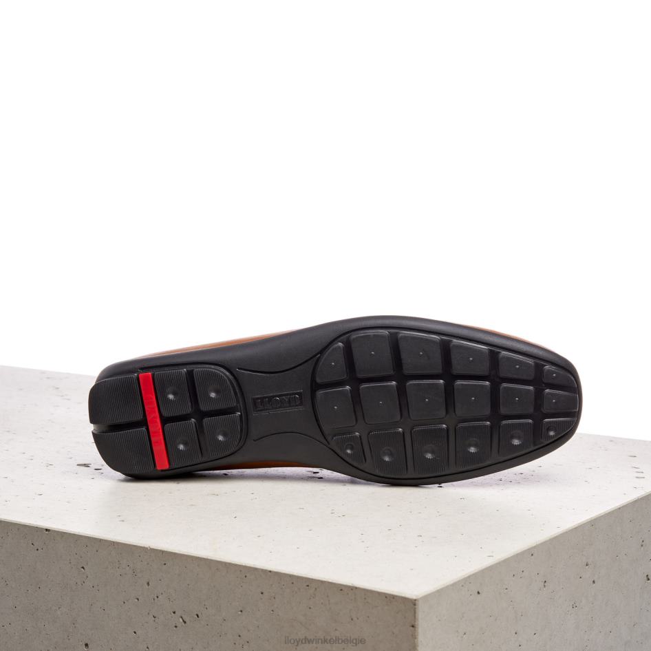 emilio Heren LLOYD bruin schoenen ZJ6BL603