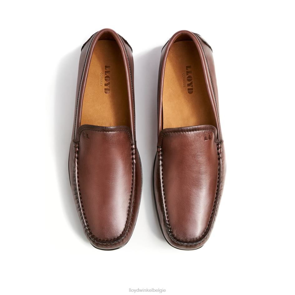 emilio Heren LLOYD bruin schoenen ZJ6BL618