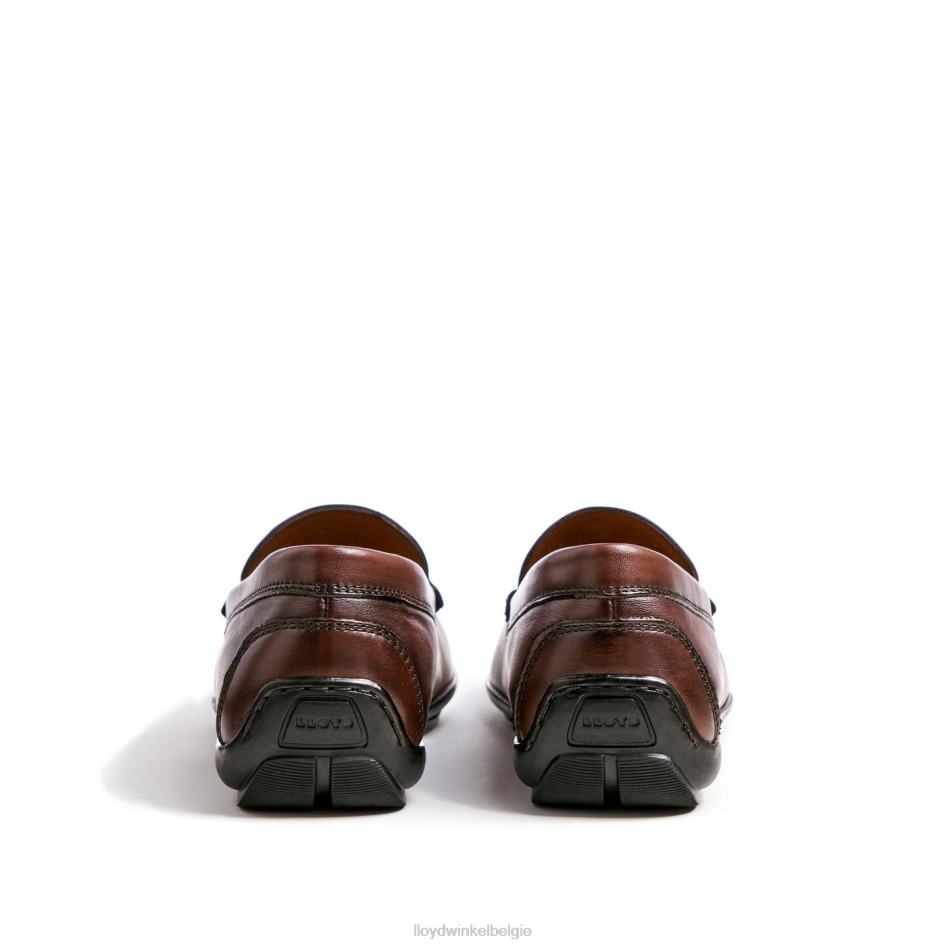 emilio Heren LLOYD bruin schoenen ZJ6BL618