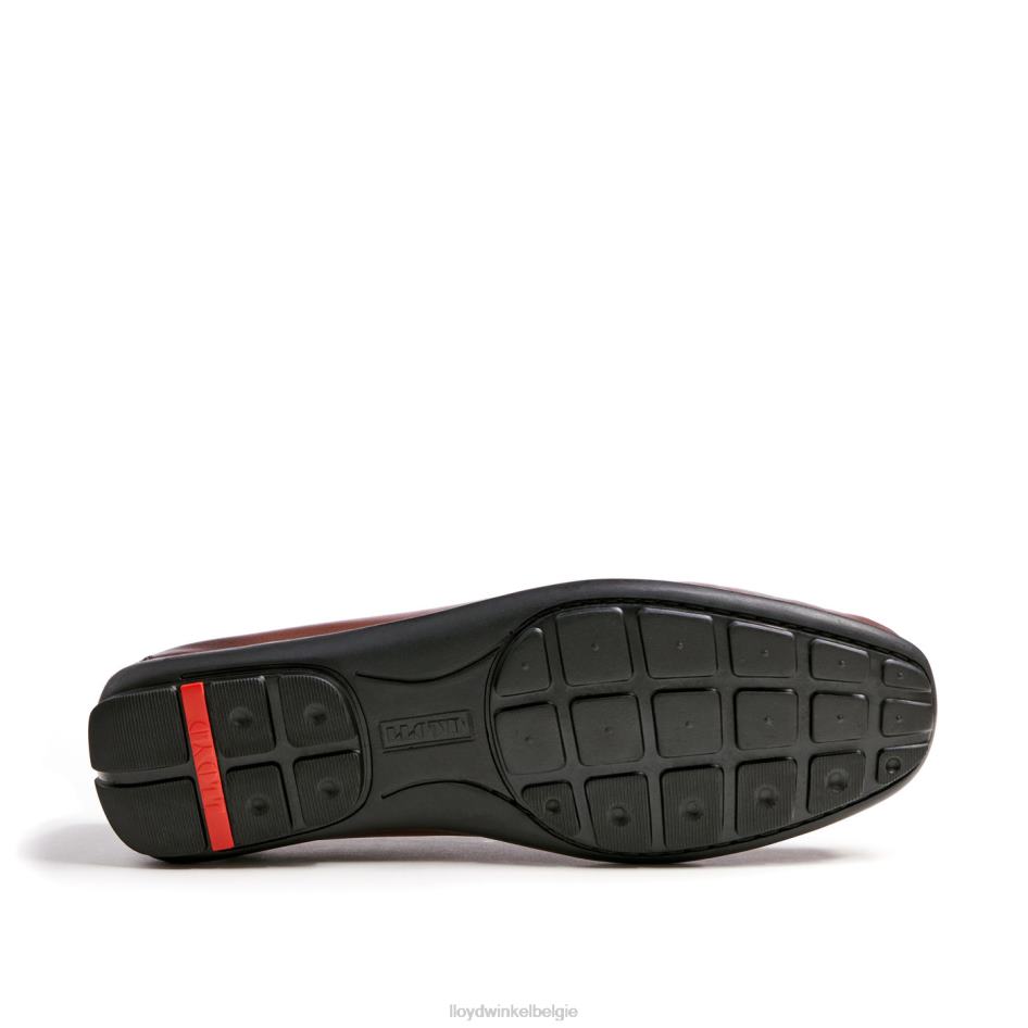 emilio Heren LLOYD bruin schoenen ZJ6BL618