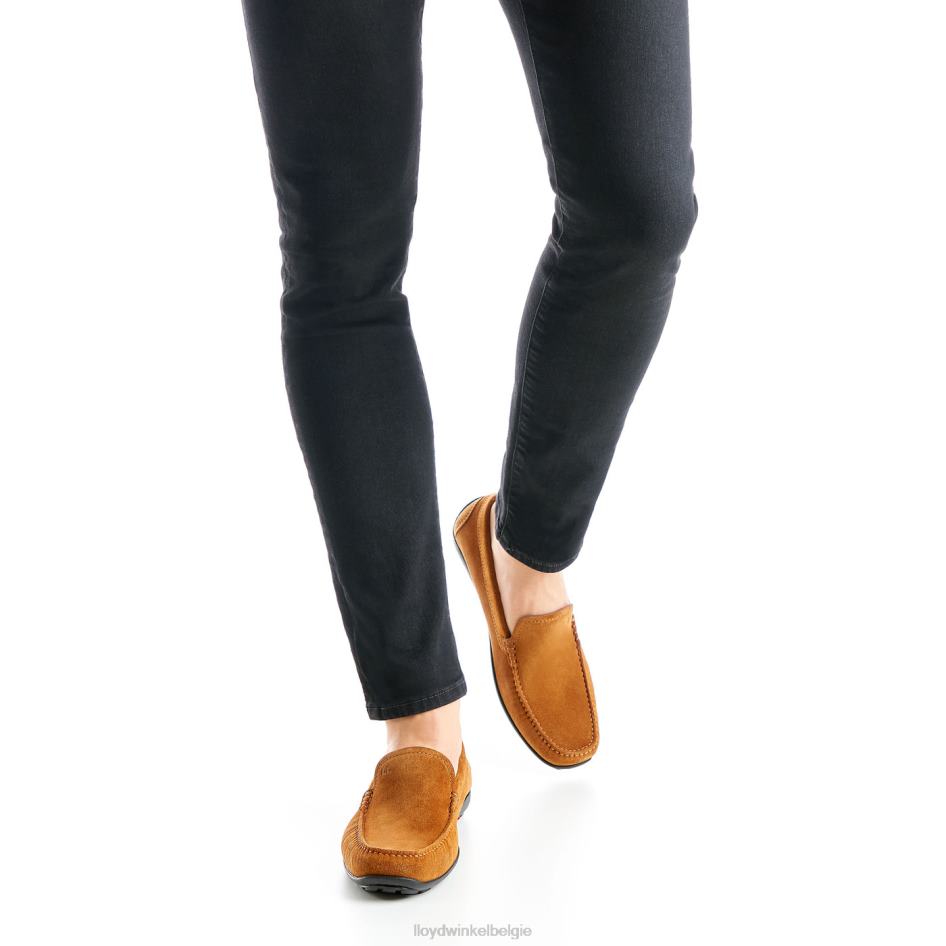 emilio Heren LLOYD bruin schoenen ZJ6BL620