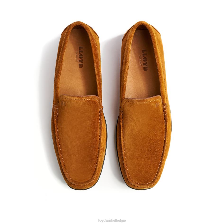 emilio Heren LLOYD bruin schoenen ZJ6BL620