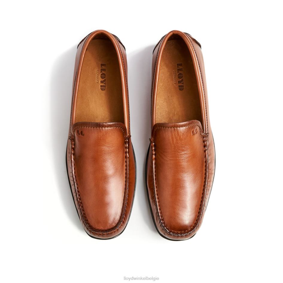 emilio Heren LLOYD bruin schoenen ZJ6BL621