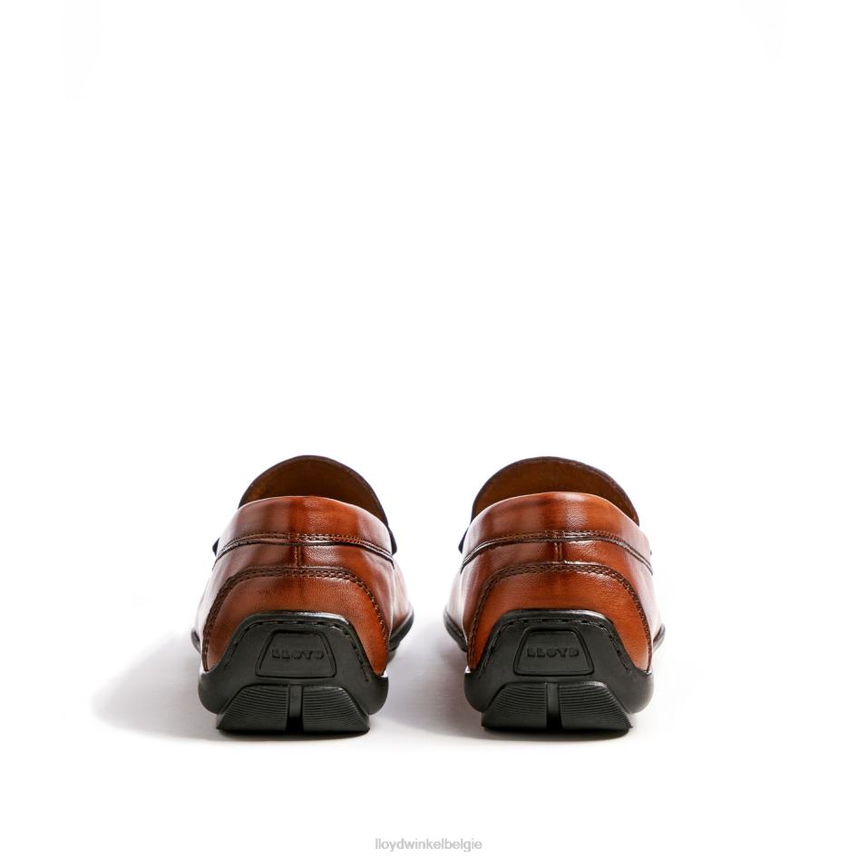 emilio Heren LLOYD bruin schoenen ZJ6BL621