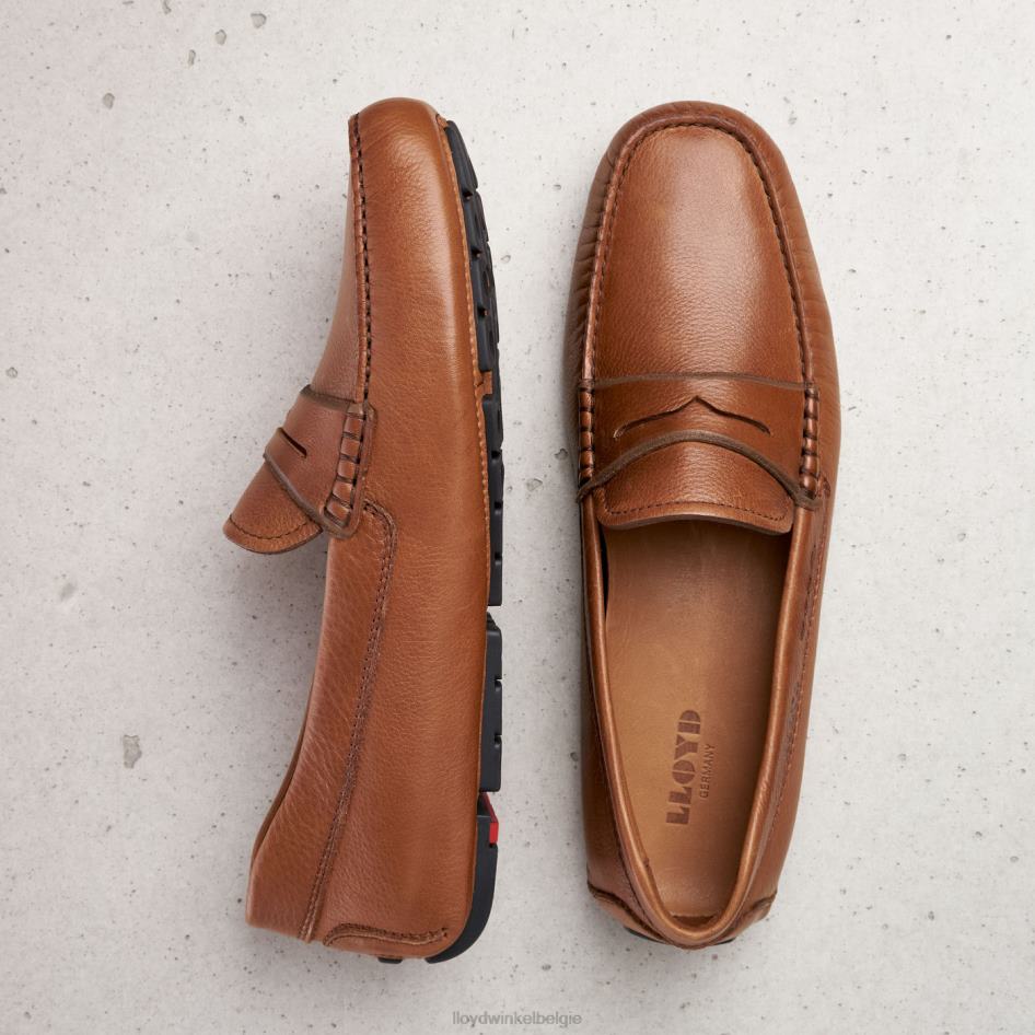 emo Heren LLOYD bruin schoenen ZJ6BL610