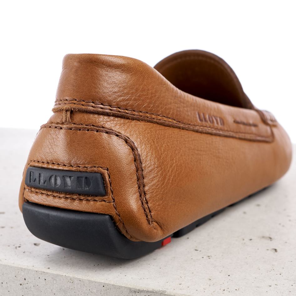 emo Heren LLOYD bruin schoenen ZJ6BL610