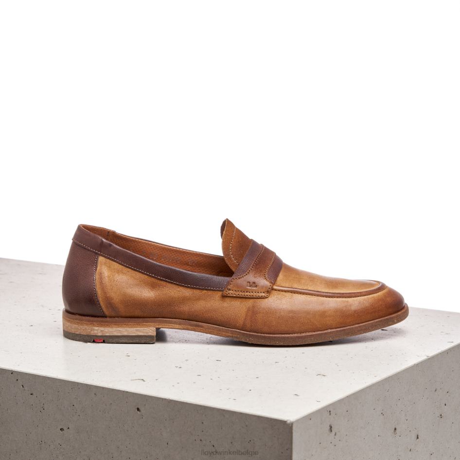 okt Heren LLOYD bruin schoenen ZJ6BL604