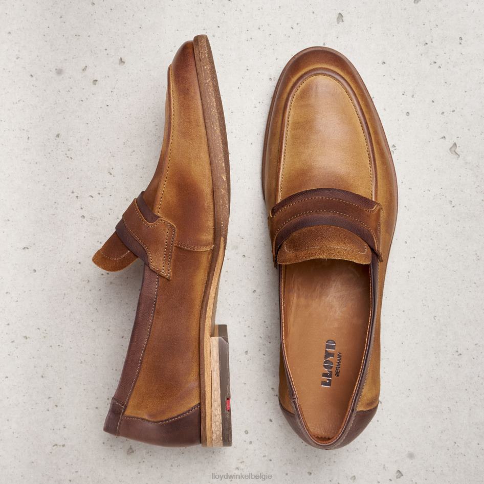 okt Heren LLOYD bruin schoenen ZJ6BL604