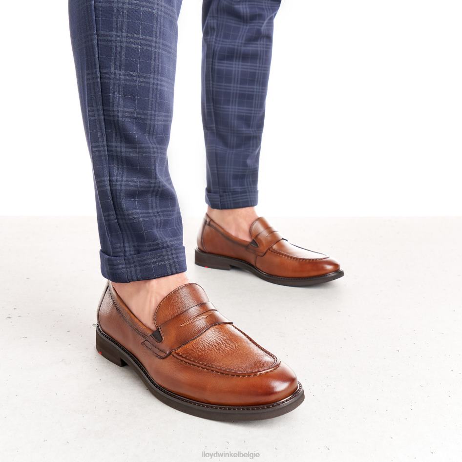 reg Heren LLOYD bruin schoenen ZJ6BL169
