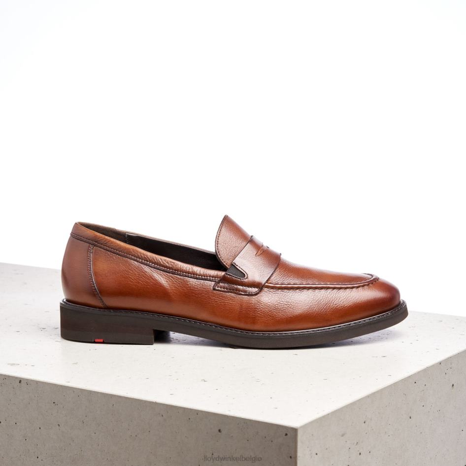 reg Heren LLOYD bruin schoenen ZJ6BL169