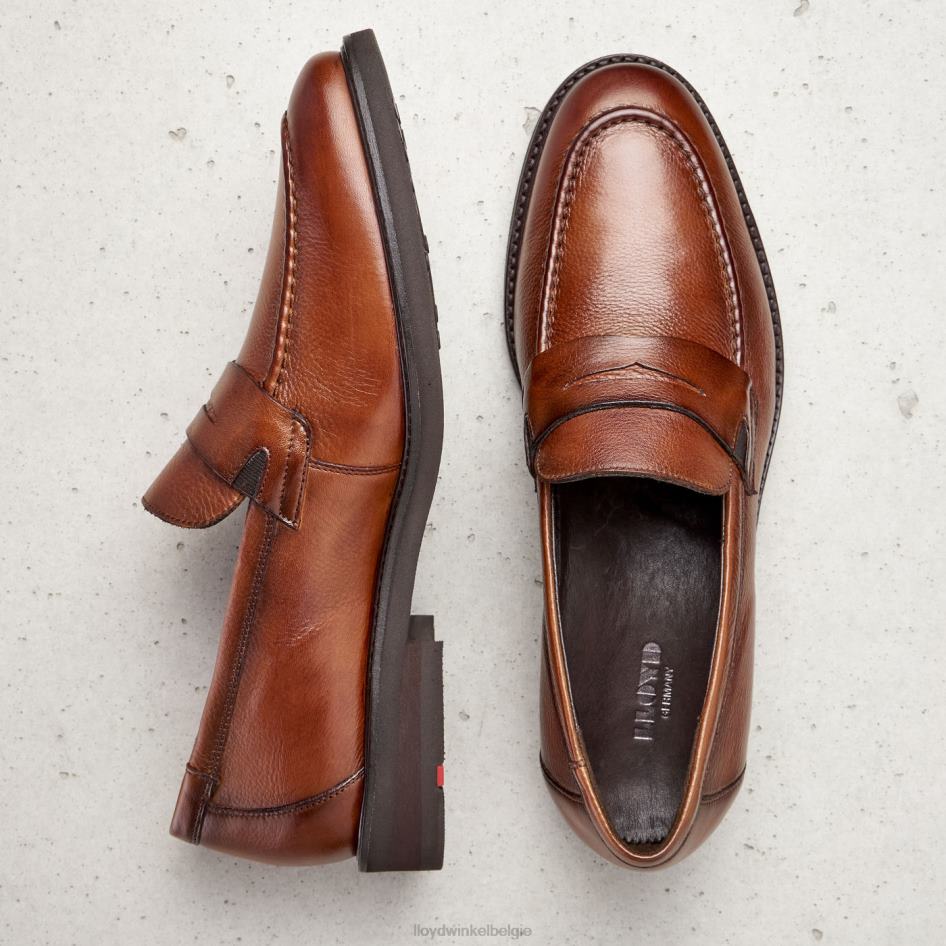 reg Heren LLOYD bruin schoenen ZJ6BL169