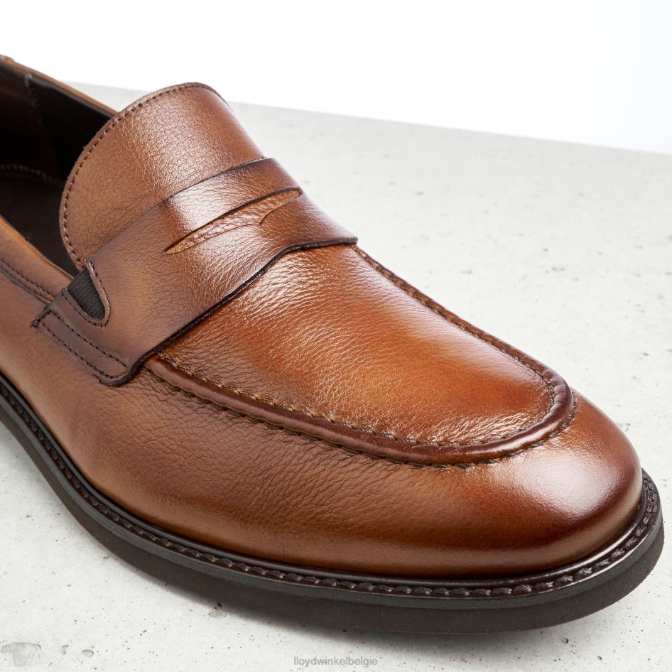 reg Heren LLOYD bruin schoenen ZJ6BL169