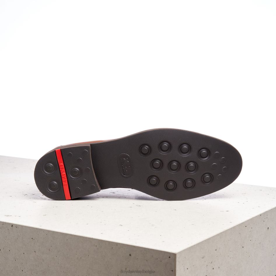 reg Heren LLOYD bruin schoenen ZJ6BL169