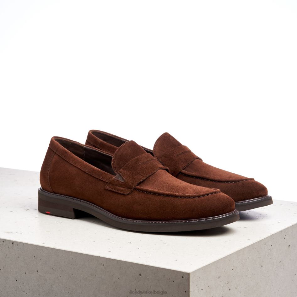 reg Heren LLOYD bruin schoenen ZJ6BL183