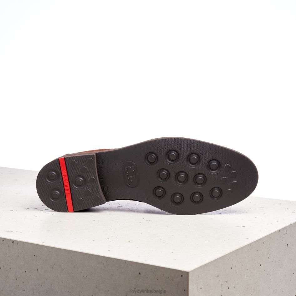 reg Heren LLOYD bruin schoenen ZJ6BL183