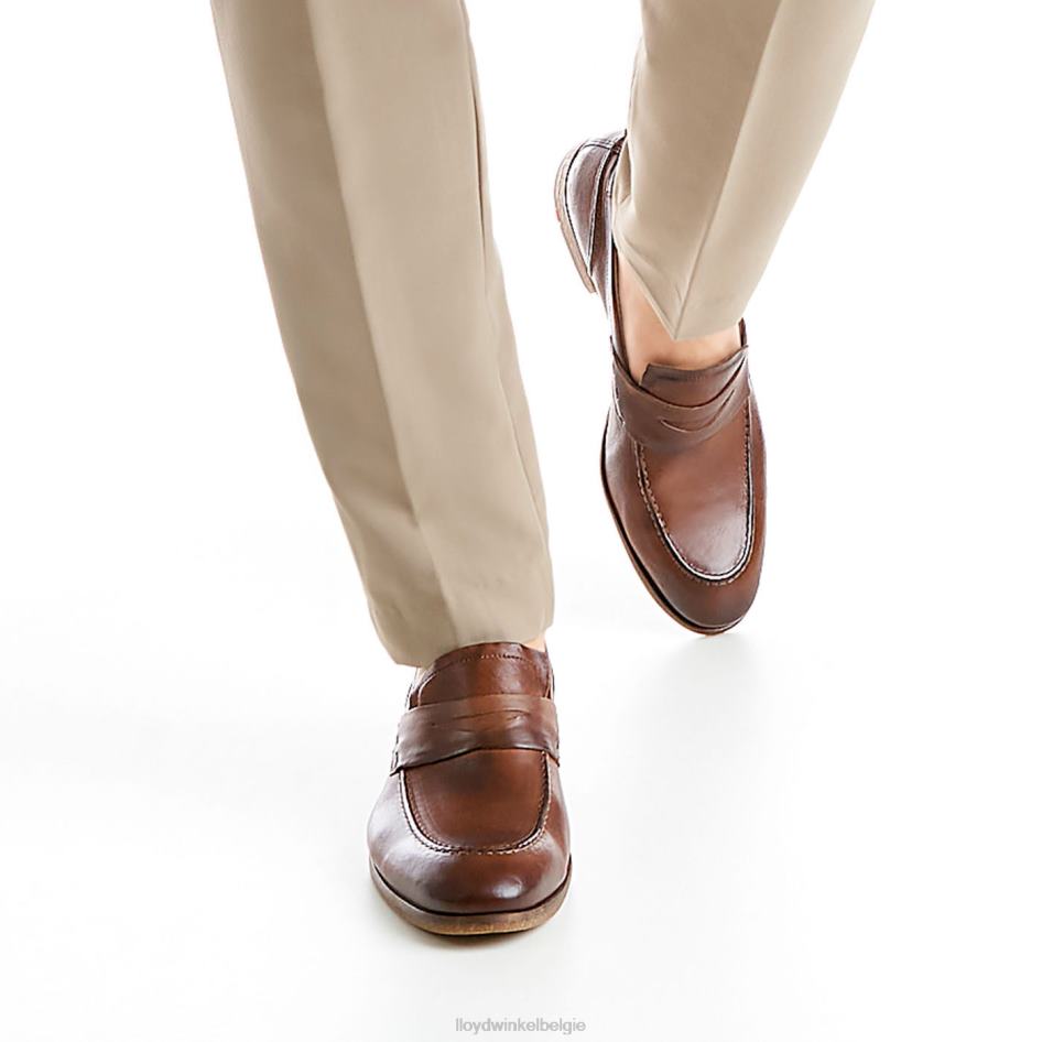rijp Heren LLOYD bruin schoenen ZJ6BL1348