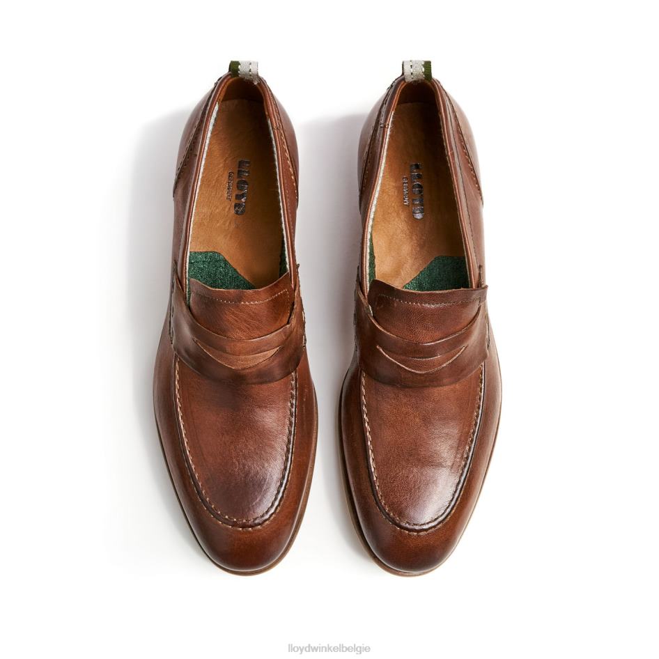 rijp Heren LLOYD bruin schoenen ZJ6BL1348