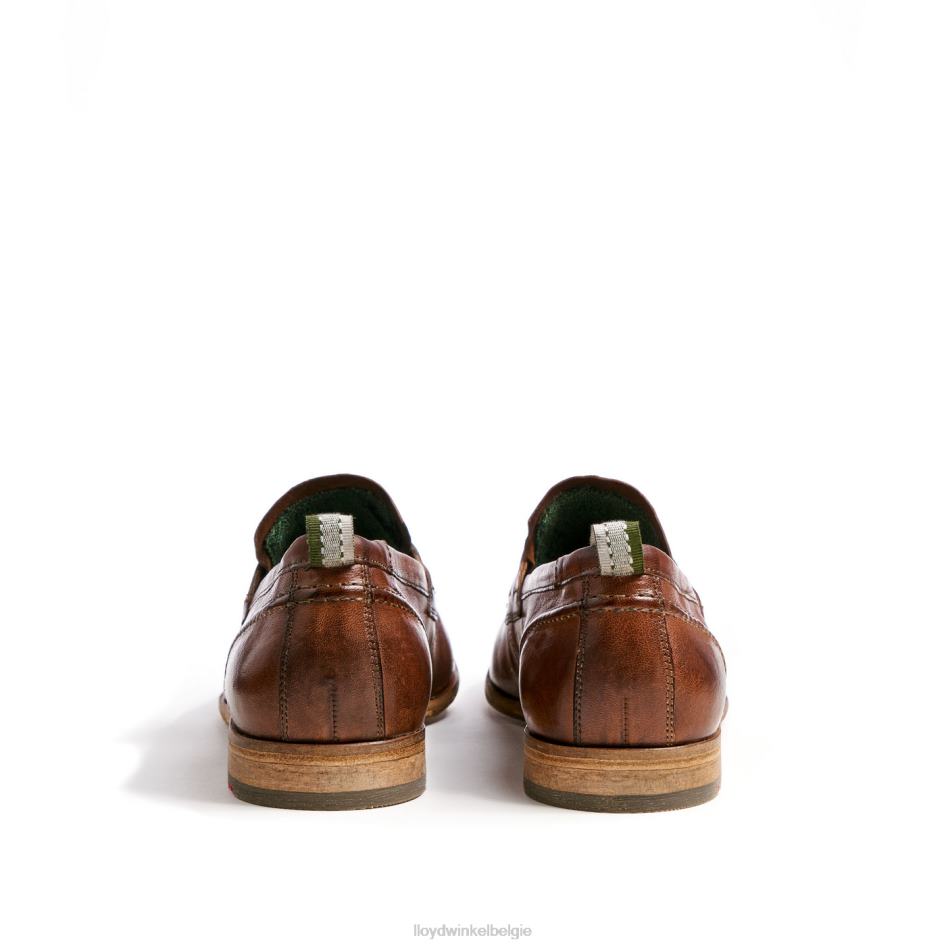 rijp Heren LLOYD bruin schoenen ZJ6BL1348