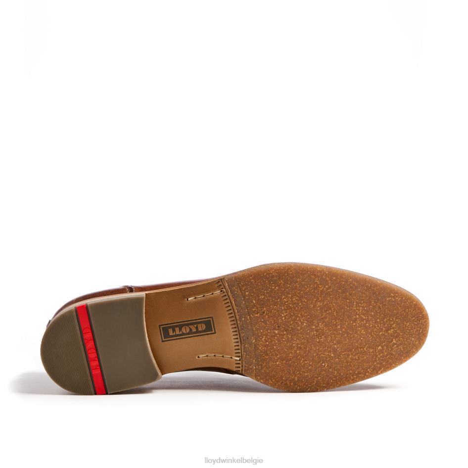 rijp Heren LLOYD bruin schoenen ZJ6BL1348